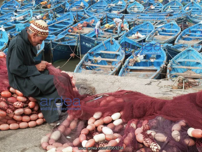 : Man repairing fishing nets in the fishing port : Man repairing fishing nets in the fishing port