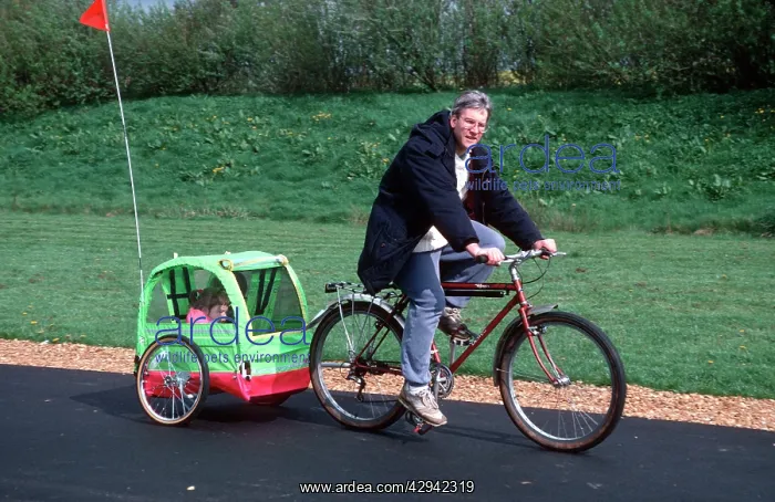 : Man riding bicycle towing trailer with child : Man riding bicycle towing trailer with child
