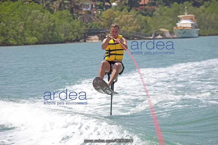 : Man riding above water on air chair : Man riding above water on air chair