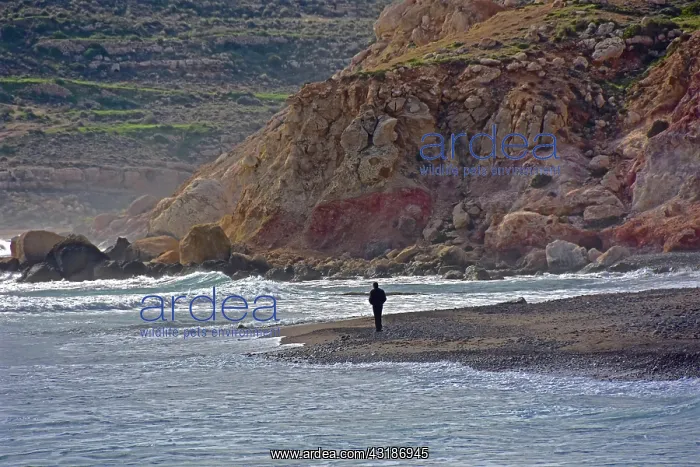: Man in front of rock face on undulating sea, churned : Man in front of rock face on undulating sea, churned