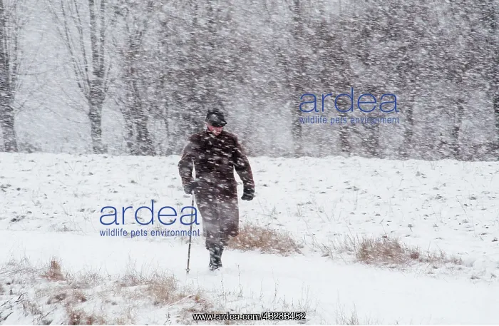 : MAN IN SNOW STORM : MAN IN SNOW STORM