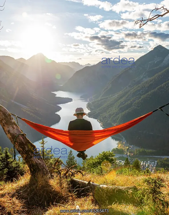 : Man with a sun hat sitting in an orange hammock : Man with a sun hat sitting in an orange hammock