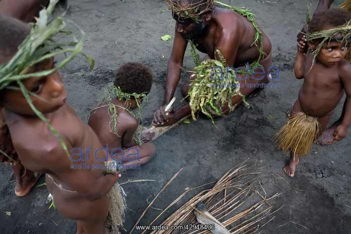: Man from Tanna Island, Vanuatu demonstrating traditional : Man from Tanna Island, Vanuatu demonstrating traditional