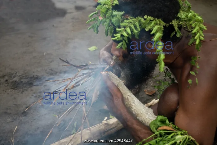 : Man from Tanna Island, Vanuatu demonstrating traditional : Man from Tanna Island, Vanuatu demonstrating traditional