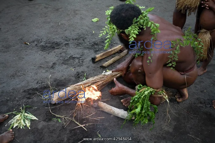 : Man from Tanna Island, Vanuatu demonstrating traditional : Man from Tanna Island, Vanuatu demonstrating traditional