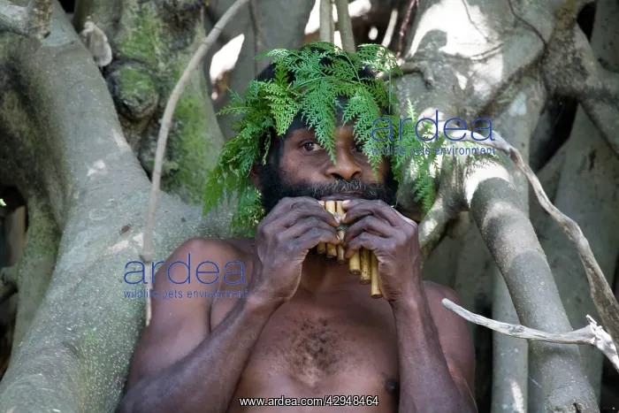  : Man from Tanna Island, Vanuatu, playing bamboo