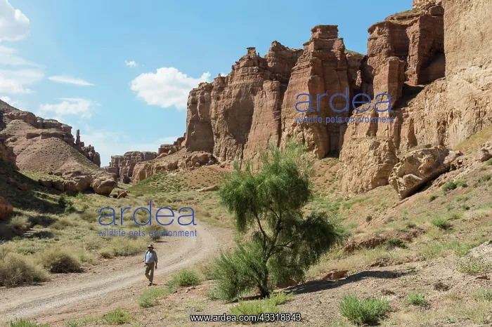  : Man walking on the road, Valley of Castles, Sharyn