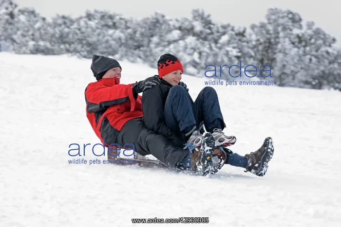 : Man and woman sledging in deep snow : Man and woman sledging in deep snow