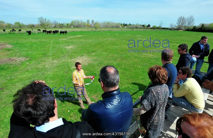 : The Manade des Baumelles is organizing visits of : The Manade des Baumelles is organizing visits of