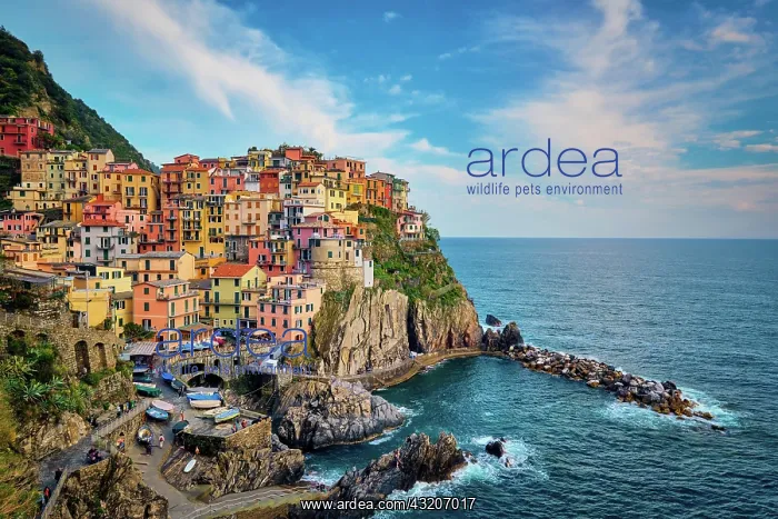 : Manarola village popular european italian touris : Manarola village popular european italian touris
