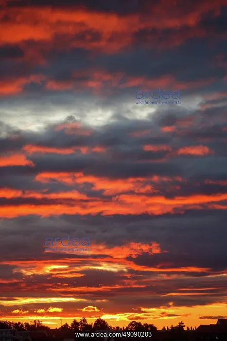 : Mandelieu la Napoule, sunset : Mandelieu la Napoule, sunset