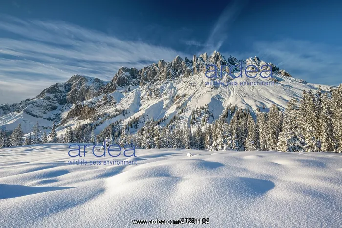 : Mandlwand and Hochknnig in winter, deep snowy winter : Mandlwand and Hochknnig in winter, deep snowy winter