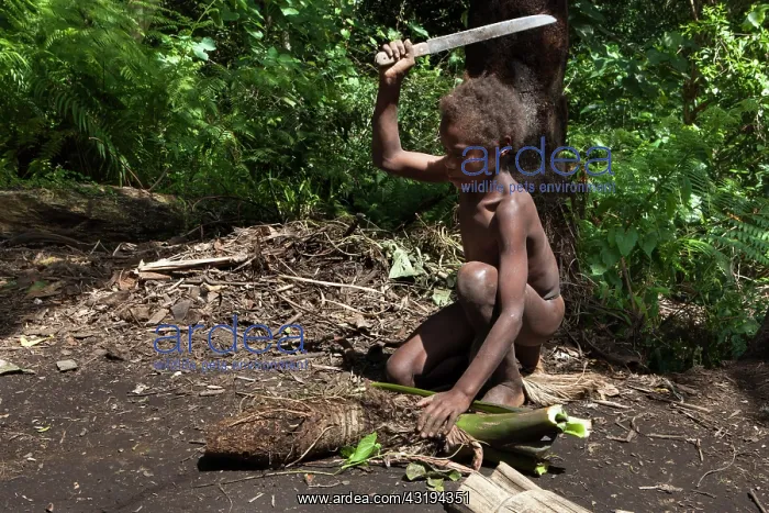: Mangao, 8 years old, the future chieftain of his : Mangao, 8 years old, the future chieftain of his
