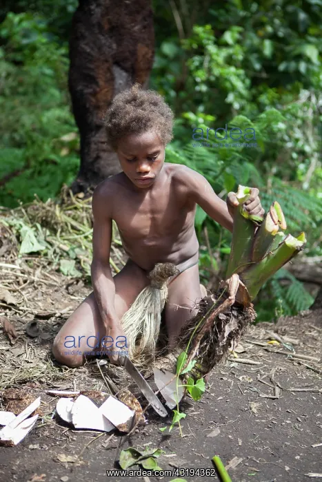 : Mangao, 8 years old, the future chieftain of his : Mangao, 8 years old, the future chieftain of his