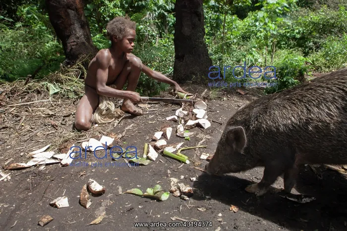 : Mangao, 8 years old, the future chieftain of his : Mangao, 8 years old, the future chieftain of his