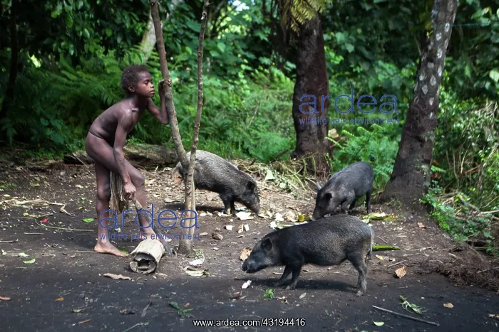 : Mangao, 8 years old, the future chieftain of his : Mangao, 8 years old, the future chieftain of his