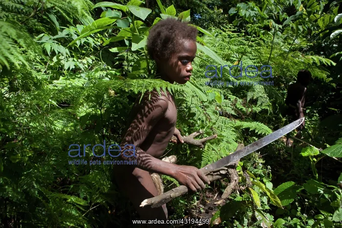 : Mangao, 8 years old, the future chieftain of his : Mangao, 8 years old, the future chieftain of his