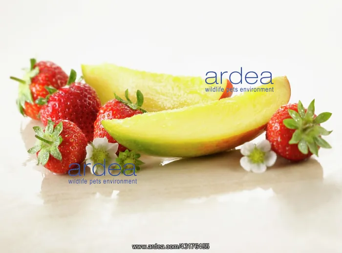 : Mango, Mangifera indica. Two slices arranged with : Mango, Mangifera indica. Two slices arranged with