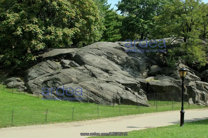 : Manhattan Schist : Manhattan Schist