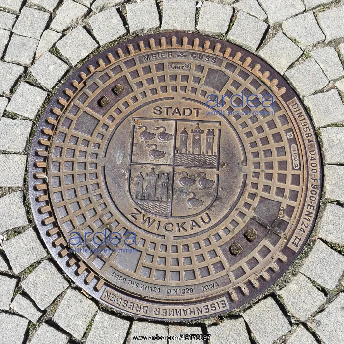 : Manhole cover with coat of arms of Zwickau : Manhole cover with coat of arms of Zwickau