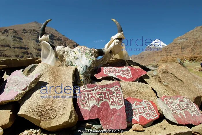 : Mani stone mound : Mani stone mound