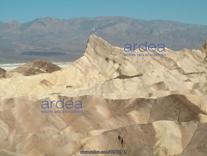  : Manley Beacon and the eroded badlands around Zabriskie
