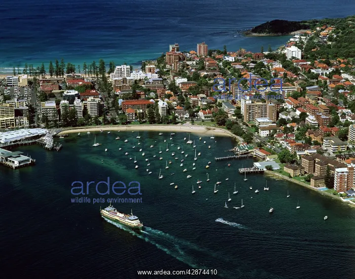 : Manly and Manly Cove with ferry approaching terminal : Manly and Manly Cove with ferry approaching terminal