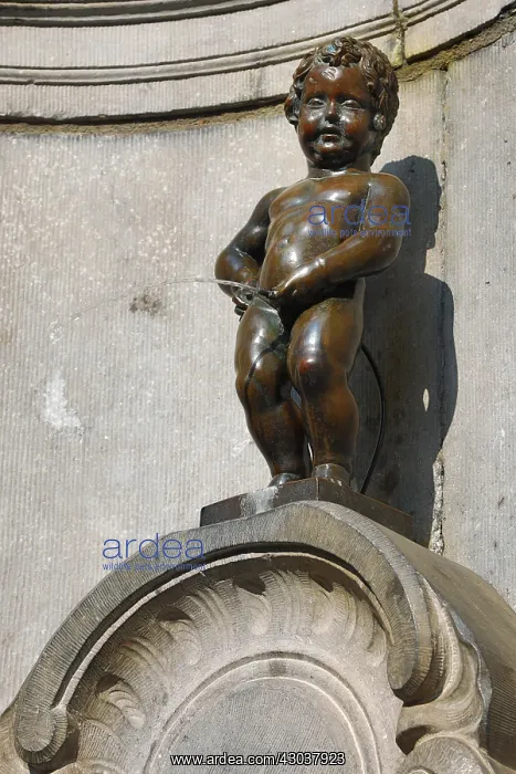 : Manneken Pis, statue of a boy peeing into a fountain : Manneken Pis, statue of a boy peeing into a fountain