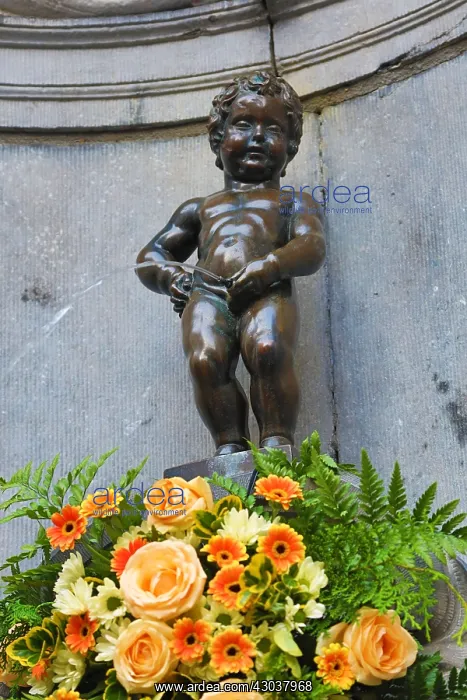 : Manneken Pis, statue of a boy peeing into a fountain : Manneken Pis, statue of a boy peeing into a fountain