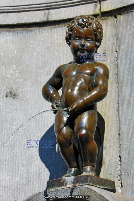 : Manneken Pis, statue of a boy peeing into a fountain : Manneken Pis, statue of a boy peeing into a fountain