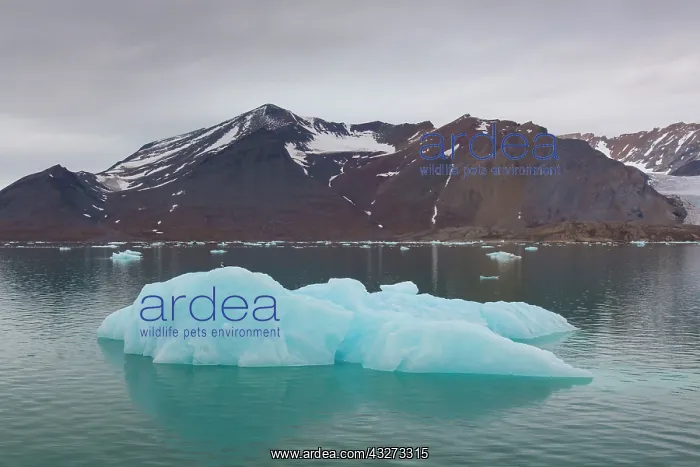  : Manocobreen as seen from Liefdefjord - Svalbard