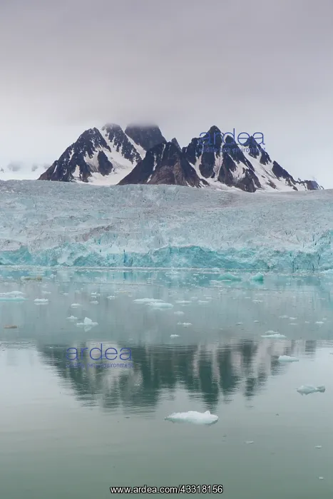 : Manocobreen as seen from Liefdefjord - Svalbard : Manocobreen as seen from Liefdefjord - Svalbard