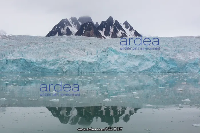 : Manocobreen as seen from Liefdefjord - Svalbard : Manocobreen as seen from Liefdefjord - Svalbard