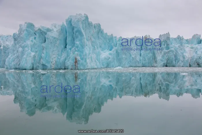 : Manocobreen as seen from Liefdefjord - Svalbard : Manocobreen as seen from Liefdefjord - Svalbard