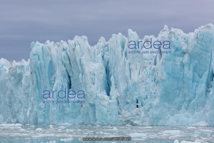 : Manocobreen as seen from Liefdefjord - Svalbard : Manocobreen as seen from Liefdefjord - Svalbard
