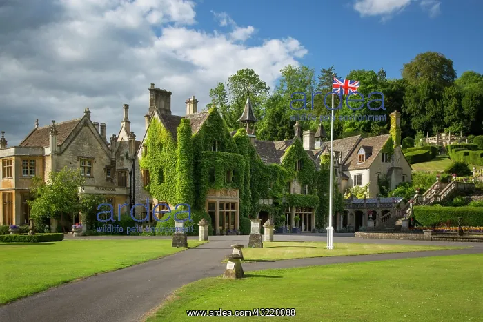 : Manor House Hotel, Castle Combe, the Cotswolds : Manor House Hotel, Castle Combe, the Cotswolds