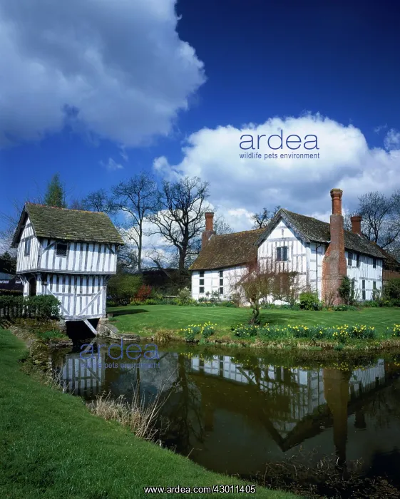 : Manor House and timber framed gatehouse and moat : Manor House and timber framed gatehouse and moat