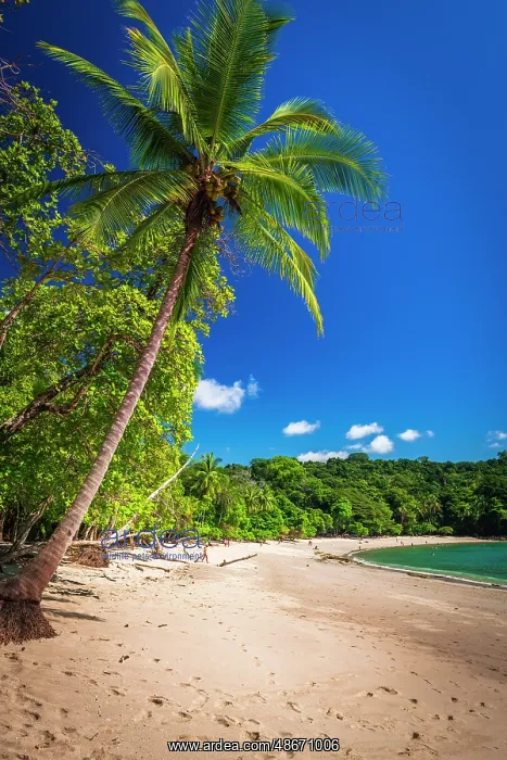 : Manuel Antonio Beach, Manuel Antonio National Park : Manuel Antonio Beach, Manuel Antonio National Park
