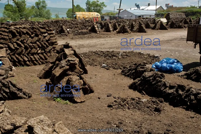  : Manure drying for fuel Gulyuzu, by Cildir Golu Lake