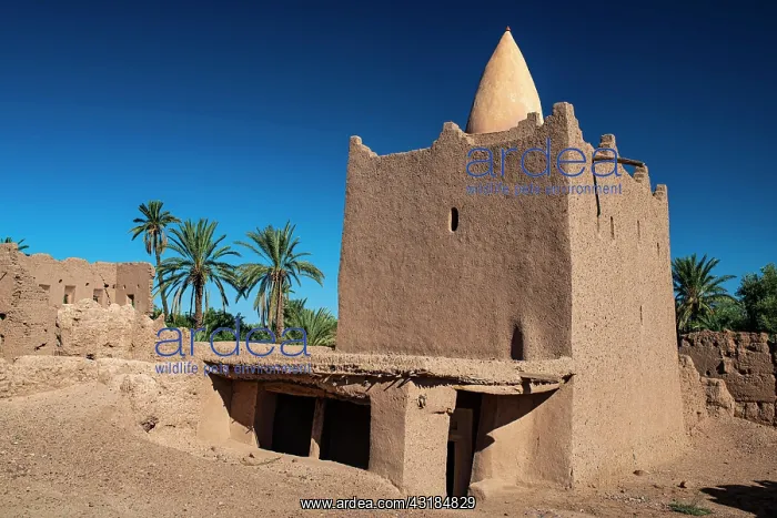 : Marabout, Tomb of a Muslim saint in a palm grove : Marabout, Tomb of a Muslim saint in a palm grove
