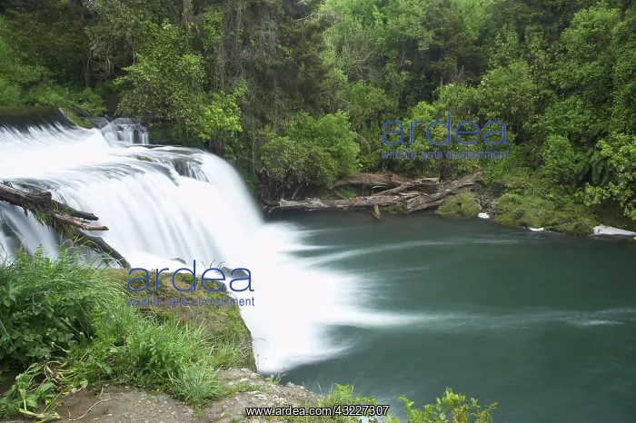 : Maraetotara Waterfall, Hawkes Bay, North : Maraetotara Waterfall, Hawkes Bay, North