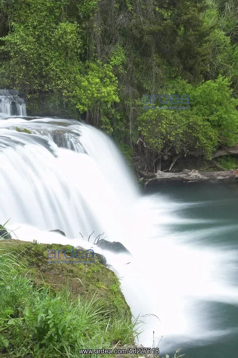 : Maraetotara Waterfall, Hawkes Bay, North : Maraetotara Waterfall, Hawkes Bay, North
