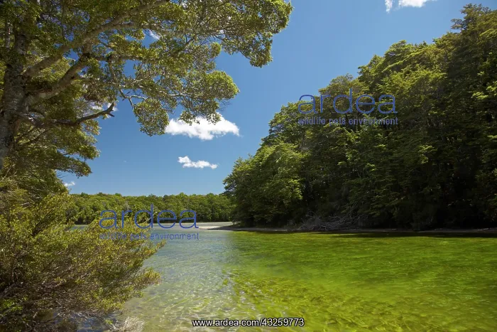 : Mararoa River, below South Mavora Lake : Mararoa River, below South Mavora Lake