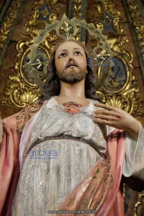 : Marbella, Spain. Statue of Jesus on a gilded altar inside an : Marbella, Spain. Statue of Jesus on a gilded altar inside an