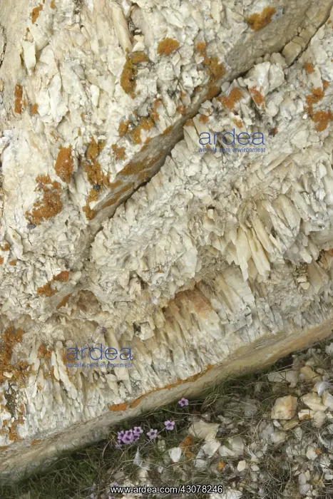 : Marble on Spitsbergen Island in South Spitsbergen National Park in Spitsbergen : Marble on Spitsbergen Island in South Spitsbergen National Park in Spitsbergen