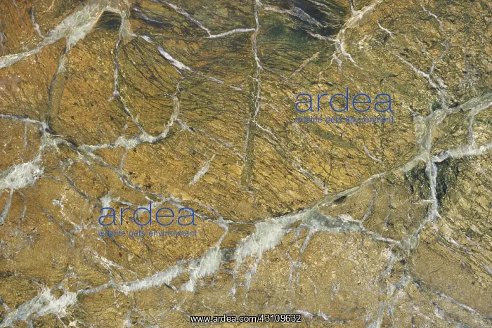 : Marble. Close-up of marble, a metamorphic rock : Marble. Close-up of marble, a metamorphic rock