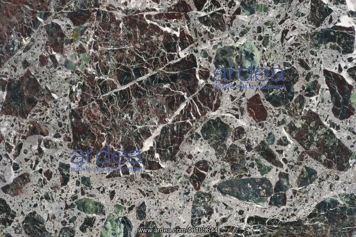 : Marble. Close-up of marble, a metamorphic rock : Marble. Close-up of marble, a metamorphic rock