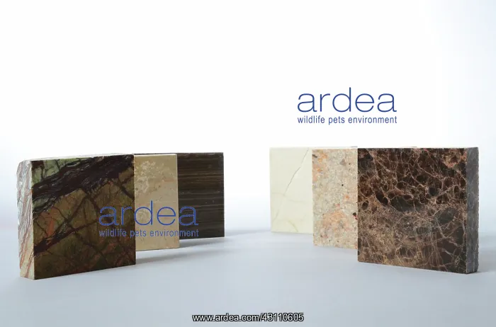 : Marble. Six pieces of different types of marble : Marble. Six pieces of different types of marble