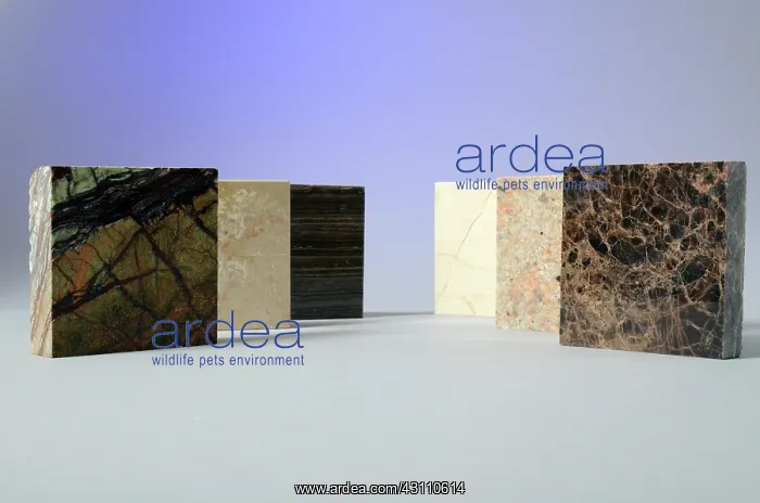  : Marble. Six pieces of different types of marble