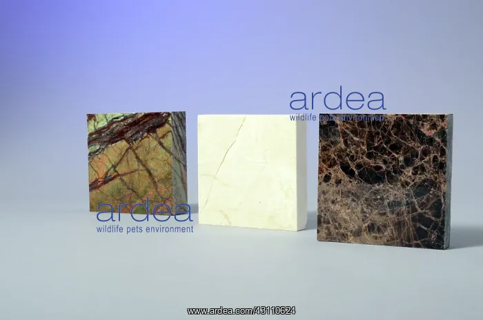  : Marble. Three pieces of different types of marble